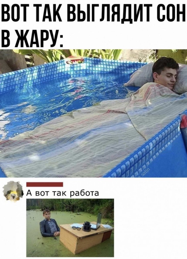 Картинки и мемы для настроения 008