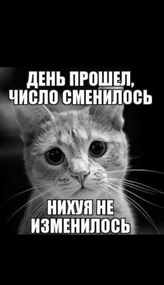 мороз и солнце, день чудесный. - DRIVE2