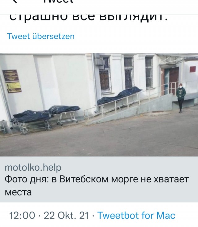 Субботнее утро в Австралии - люди отдыхают в парке, некоторые носом в асфальт
