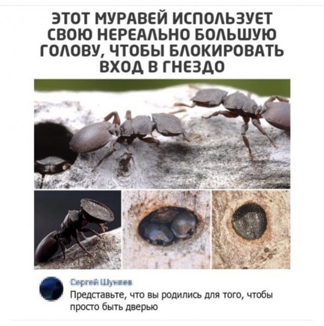 Картинки и мемы для настроения 02.11.2021