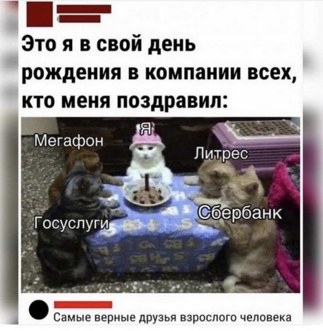 "Купил коту игрушку" и другие картинки