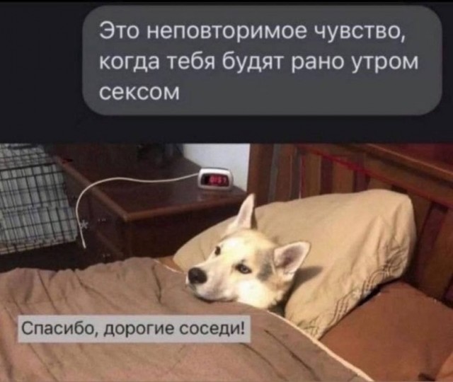 Очередная Хня вам в ленту, дорогие деграданты