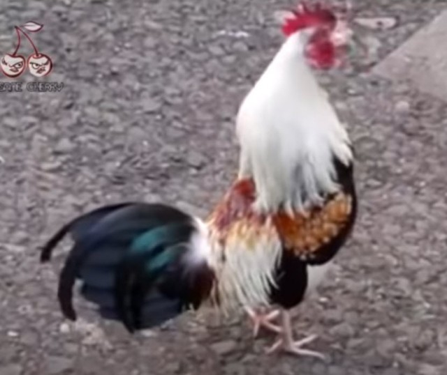 Улыбнемся слегка под утро-то