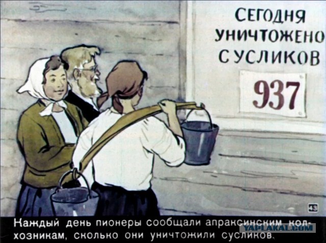 "Азовсталь" - закачают воду в подземные убежища, чтобы утопить 3000 нацистов?