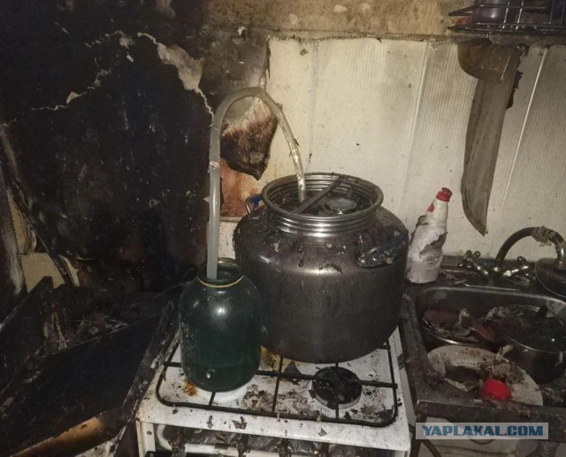 А почему так дёшево?