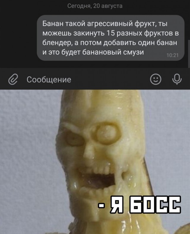 Весёлый полтишок 23.08.22