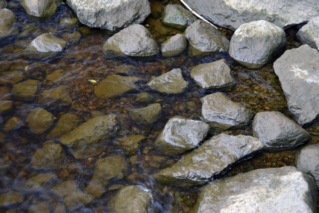 Поездка в Выборг