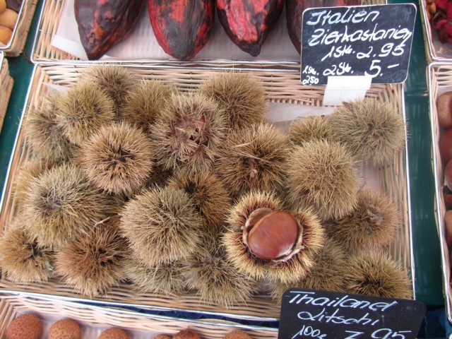 Мечты сбываются