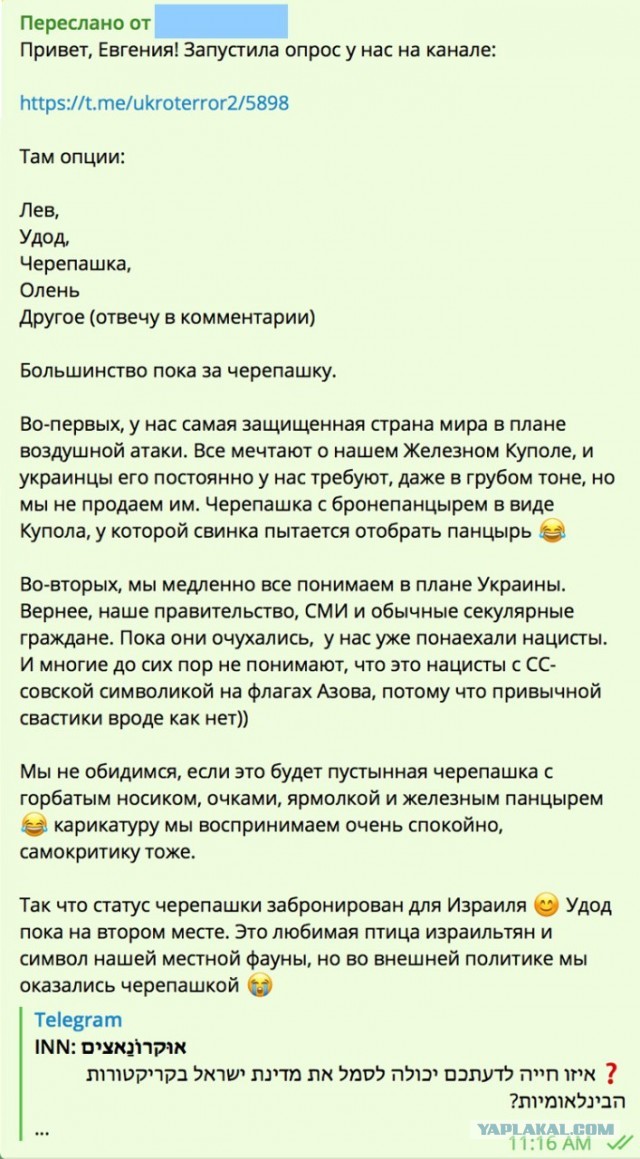Мультик про "украинскую свинку" якобы израильского телеканала на самом деле нарисовала жительница Краснодарского края.