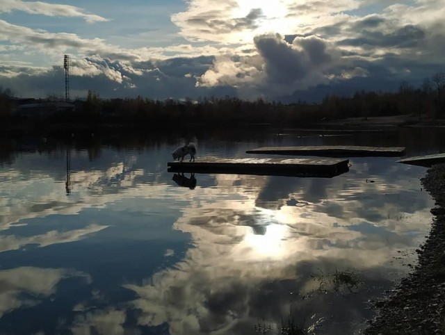 Тайна воды