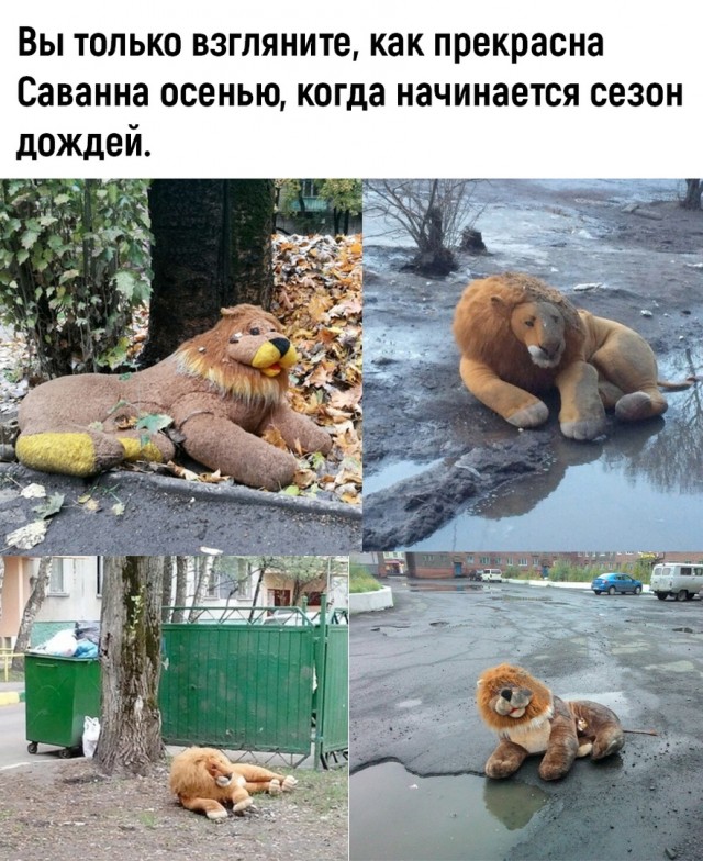 Так себе картинки 26.10.22