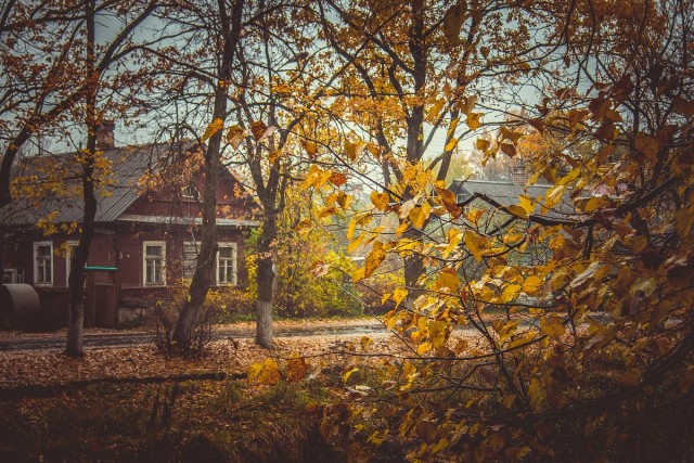 Поздней осенью в деревне