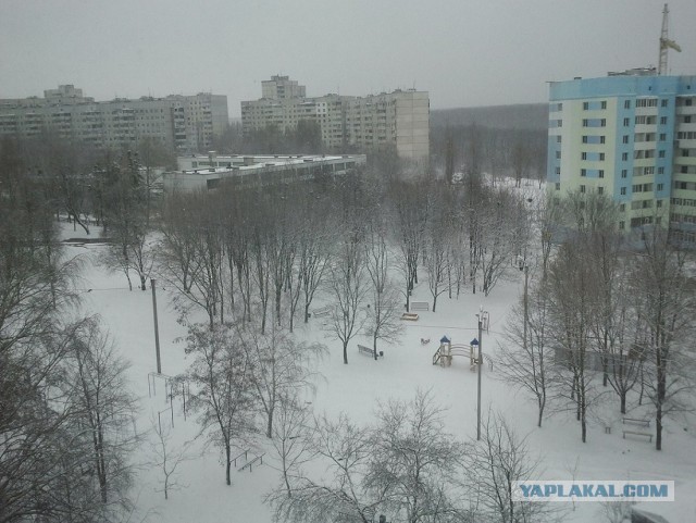 23 марта. Киев. Весна.