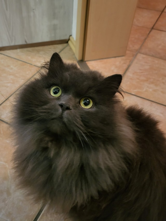 Moлoчный шoкoлaд с капелькoй недoвoльcтвa