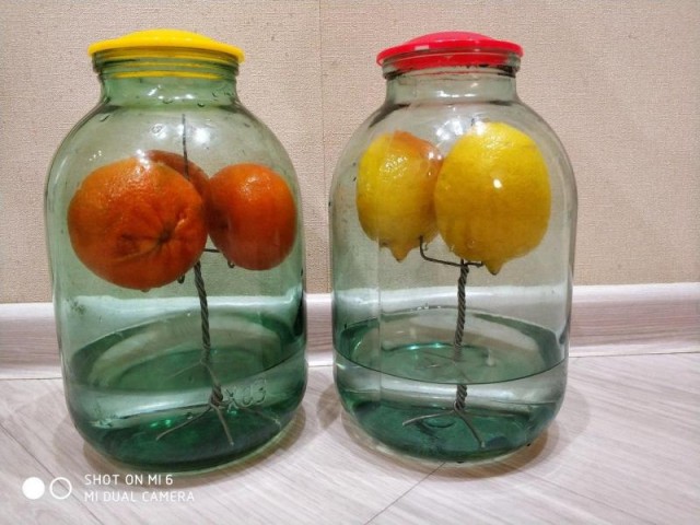 Сушёные мандариновые корки. Что с ними делать?