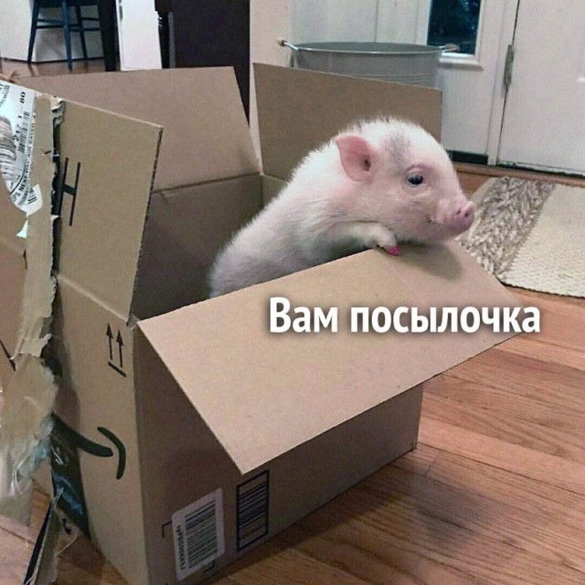 Немного картинок для настроения - 137