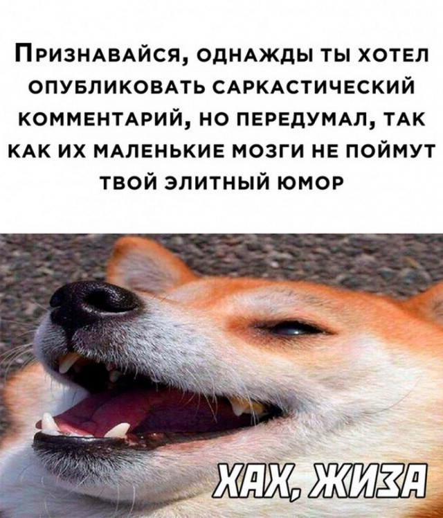 Нуштош 30.04.2023