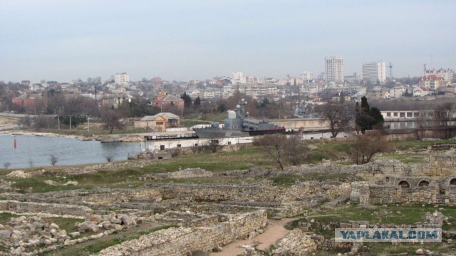 Крым в феврале или "Не стреляйте в белых лебедей!"