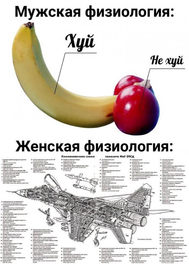 Так себе картинки 18.06.23