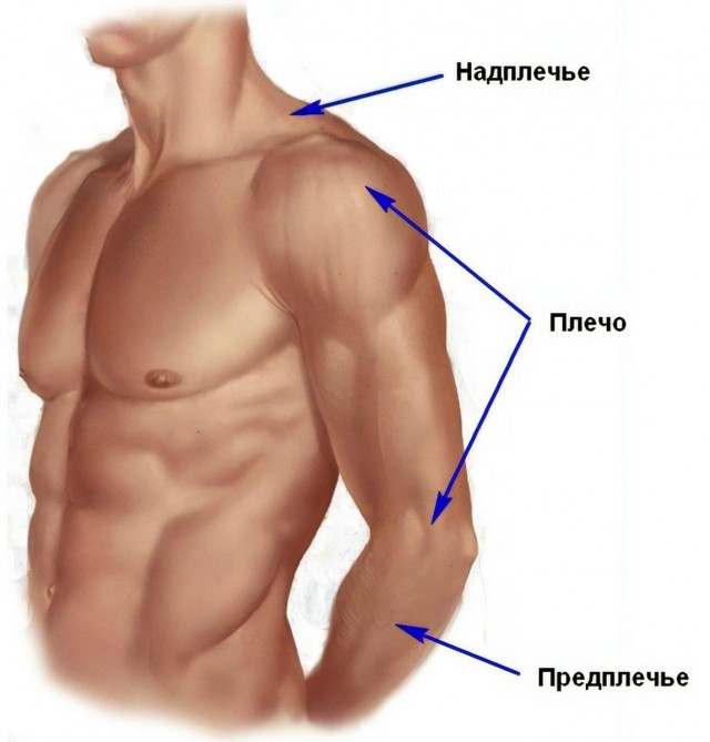 Нужна помощь