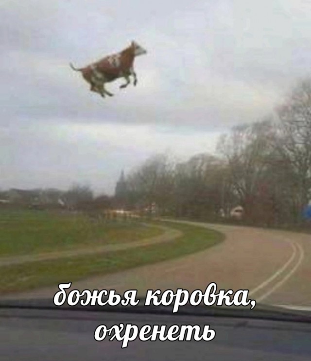 Весёлый полтишок 04.08.23