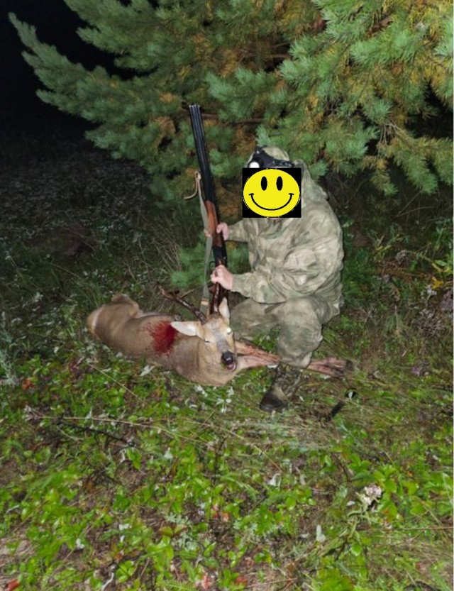 Косули очень милые, сцуко.