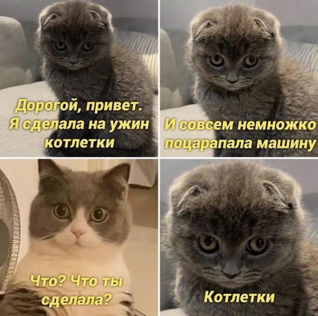 Недопятница 4.10.23