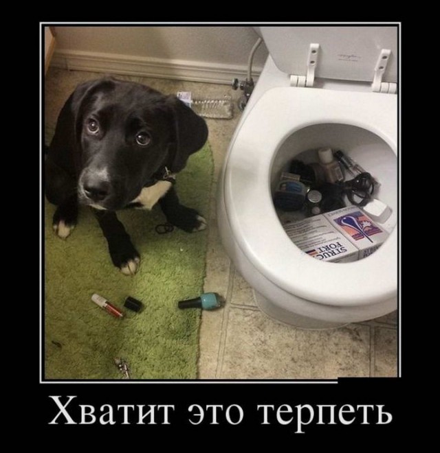 Бояны 6-ти летней выдержки