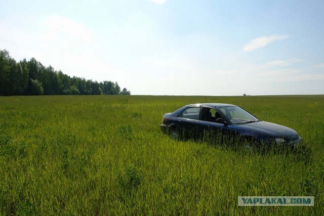 Почистил телефон