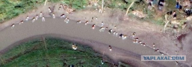 Русское Устье — одно из самых уникальных сёл России
