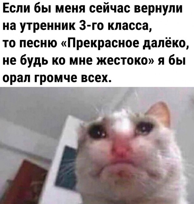 Картинки всяческие от 31.01.2024