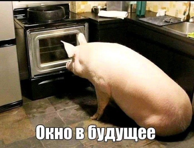 Всего понемногу. От 01.03.24