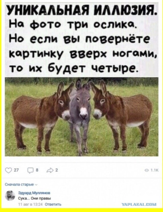 Тлидцать тли от 11 маЛта