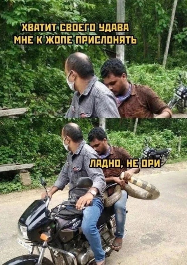 Никакие картинки