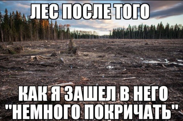 Всего понемногу. От 27.05