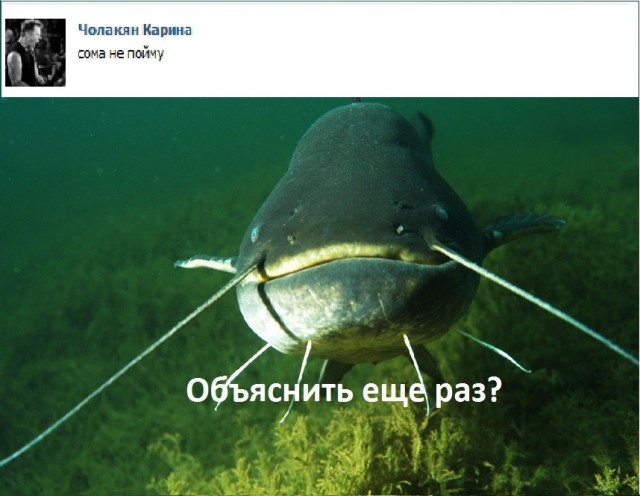 Хочу стать содержанкой