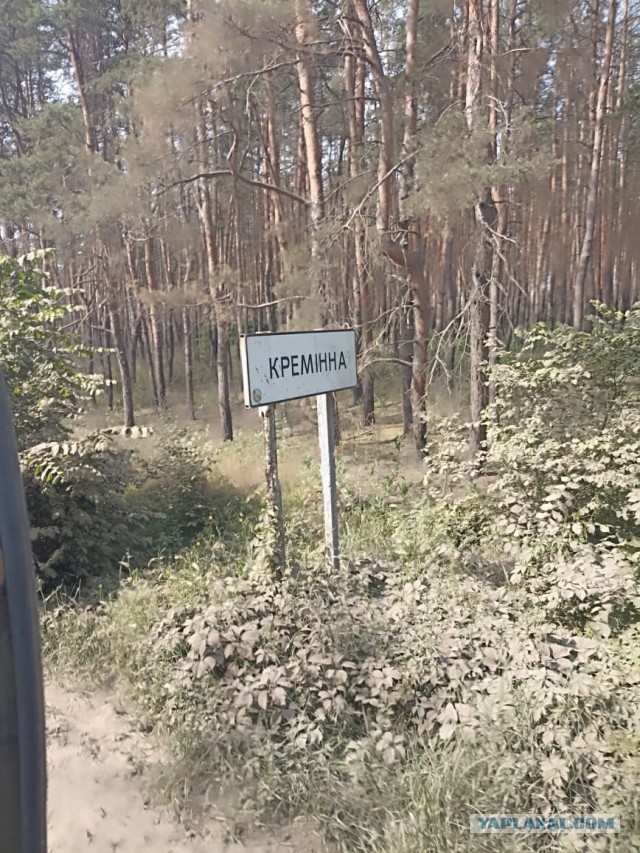 Их инопланетяне воруют