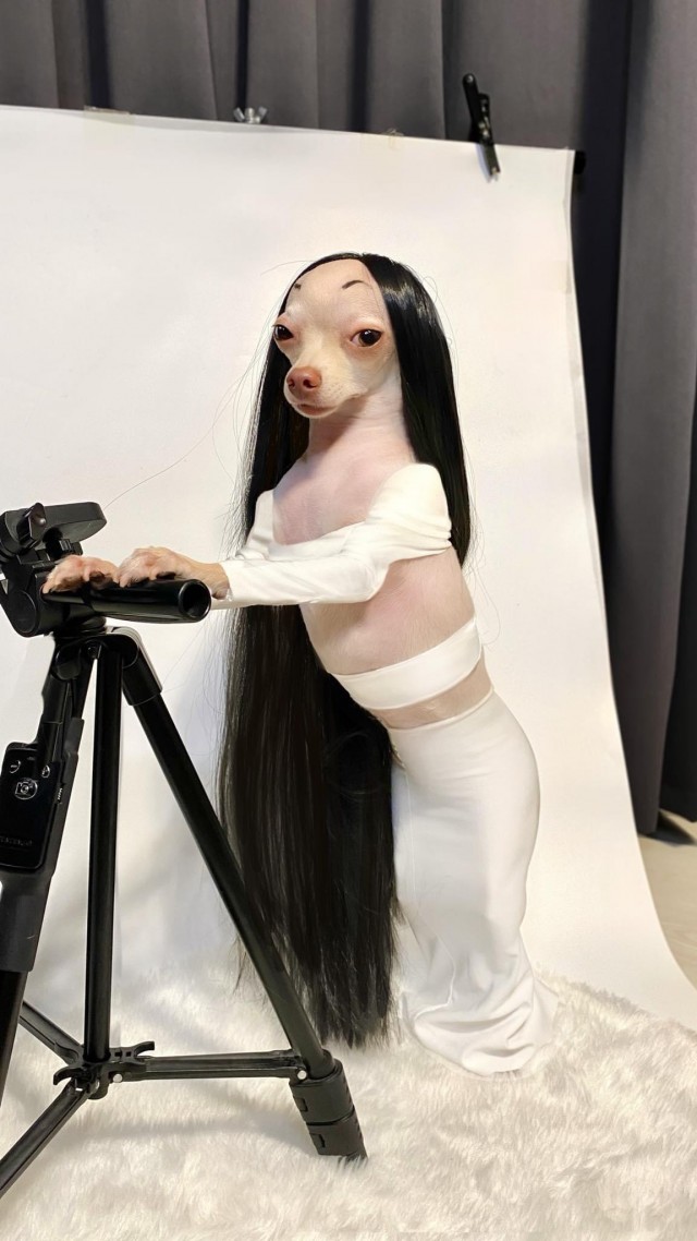Девушки