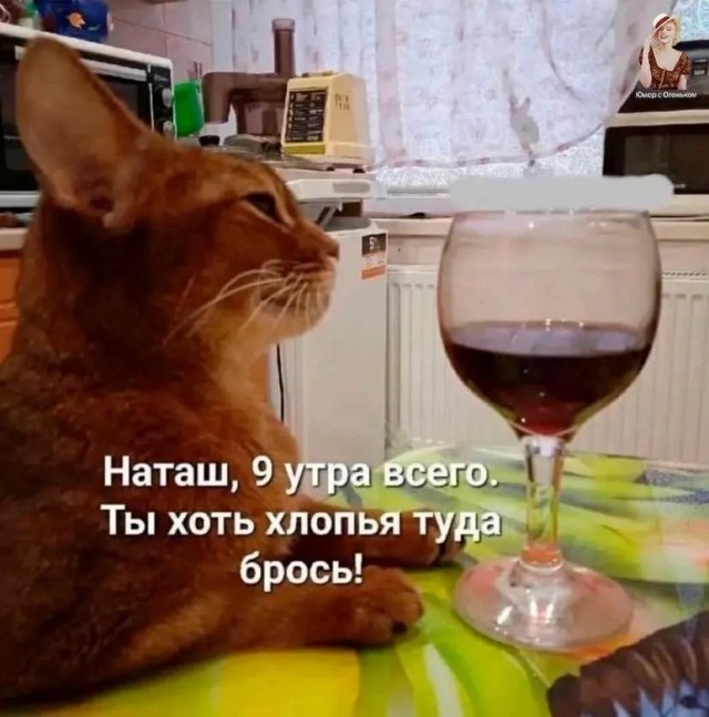 Завалялось тут случайно немного забавных картинок