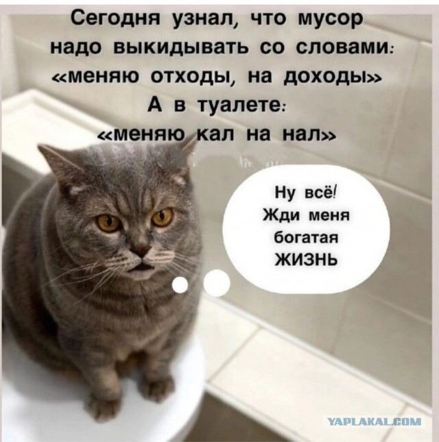 Какая пятница такие и картинки