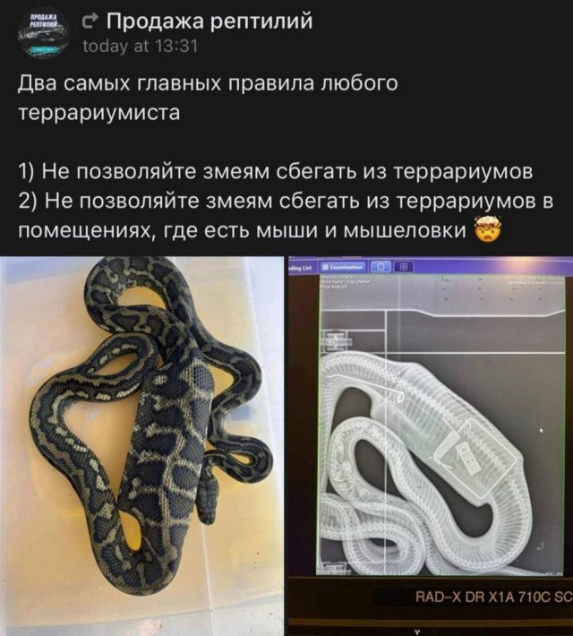 Картинки разные с надписями и без