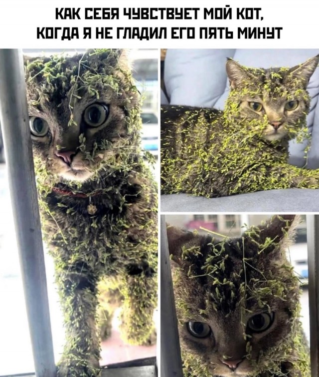 Завалялось тут случайно немного забавных картинок