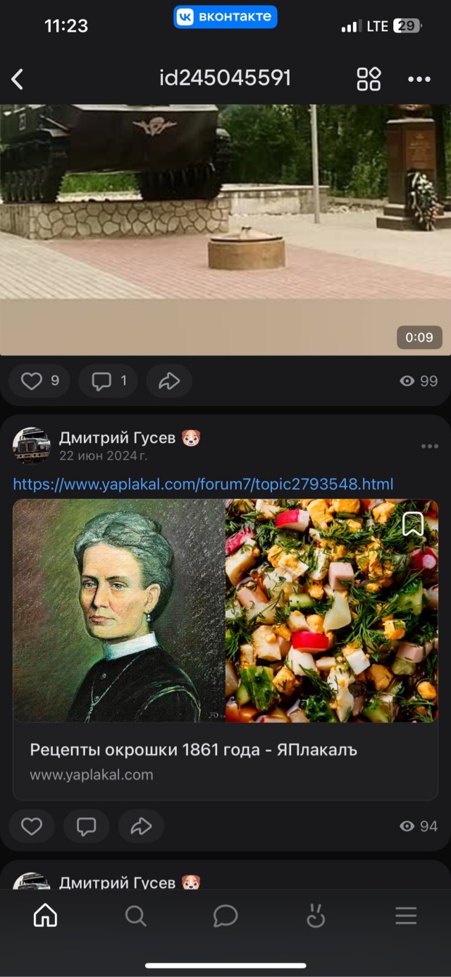 Накину