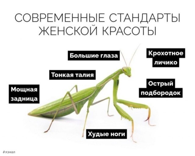 Веселые картинки в понедельник (24.02)