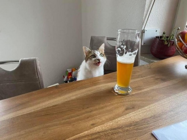 Прикольные и просто красивые картинки 04.04.2025