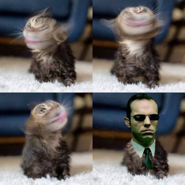 Деградильня