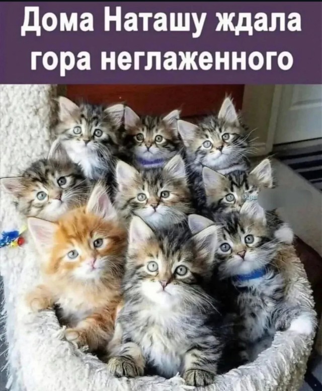 Юмор в картинках с буквами за день и отёки