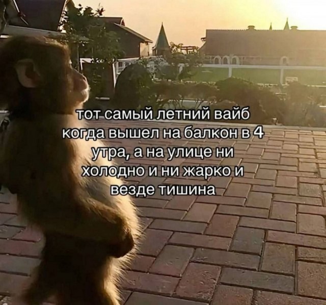 Веселые картинки в пятницу (11.07)