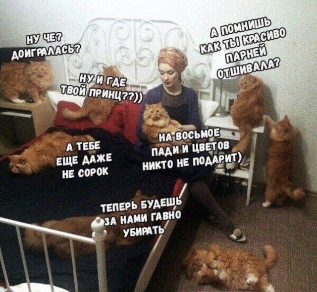 Как вам требования?