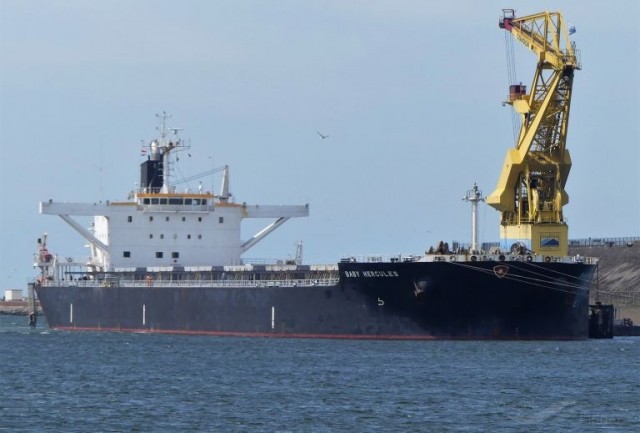 В трюме  MV Baby Hercules экскаватор выглядит как маленькая игрушка